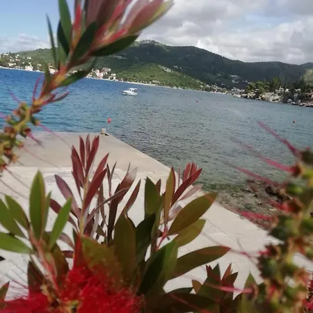 アパート Tonina ザトン